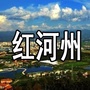 红河州身边事ico
