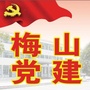 梅山党建ico