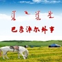 巴彦淖尔外事ico