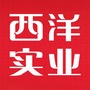 贵州西洋实业有限公司ico