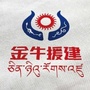 金牛对口支援ico