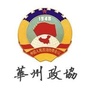 华州政协号ico