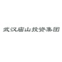 武汉庙山投资集团ico