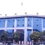 奋进杨柳ico