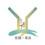 羊尖小镇公众号ico
