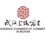 武汉上饶商会之家ico