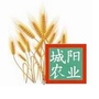 城阳农业农村ico