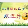 枫丹绿化农场ico