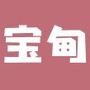 宝甸ico