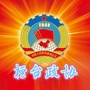 桓台政协ico