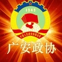 广安政协ico