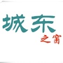 城东之窗ico