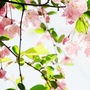 万象音乐相册公众号ico