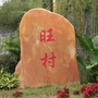 旺村家事ico