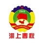 淮上春秋ico