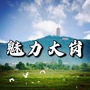 魅力大岗ico