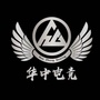 保定华中电竞ico