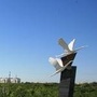 仙河本地综合服务平台ico