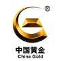 中山金殿珠宝有限公司ico