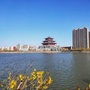 淄博市高青县文化馆ico