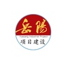 岳阳项目ico