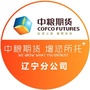 中粮期货辽宁分公司ico