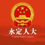 永定人大ico