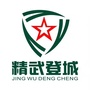 精武登城ico