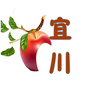 新宜川ico