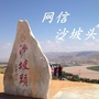 网信沙坡头ico