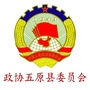 五原政协ico
