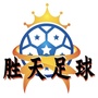 胜天足球ico