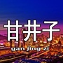 甘井子微阅ico