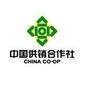 宁夏彭阳供销ico