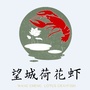 望城荷花虾ico