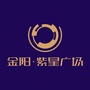 金阳紫星广场商务区ico