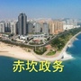 赤坎政务信息发布ico