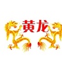 新黄龙ico