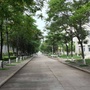 河南城建学院教师中心公众号ico