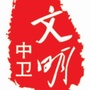 文明中卫ico