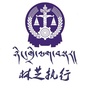 林芝执行ico