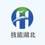 技能湖北ico