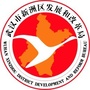 武汉市新洲区发改局ico