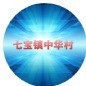 七宝镇中华村ico