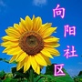 栾城区向阳社区ico