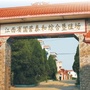 泰和综合垦殖场ico