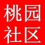 旌阳街道桃园社区ico