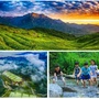 高桥之光ico