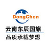 云南东辰国际旅行社ico