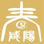 咸阳人社ico